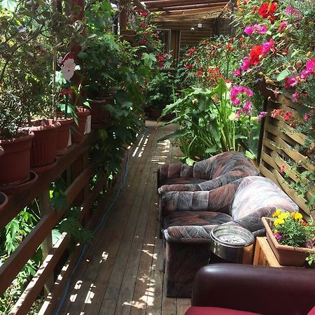 Hostal Mi Segundo Hogar Concepción Eksteriør bilde