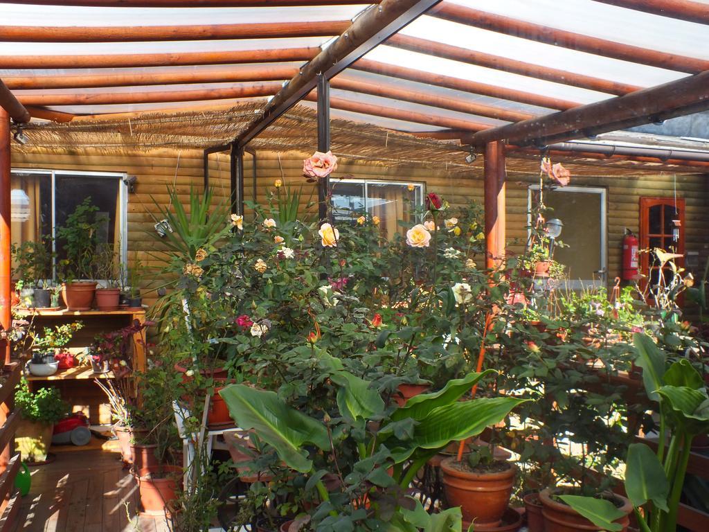 Hostal Mi Segundo Hogar Concepción Eksteriør bilde