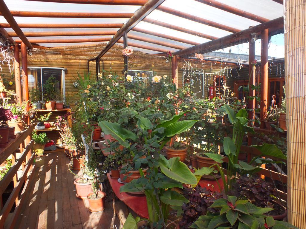 Hostal Mi Segundo Hogar Concepción Eksteriør bilde
