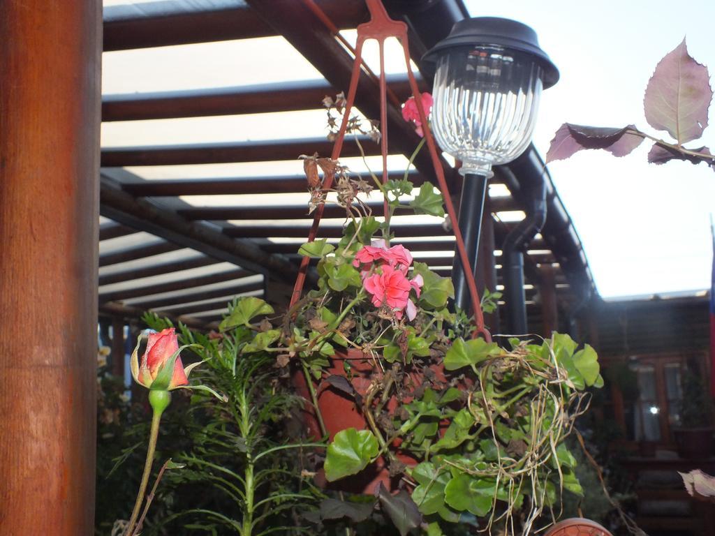 Hostal Mi Segundo Hogar Concepción Eksteriør bilde