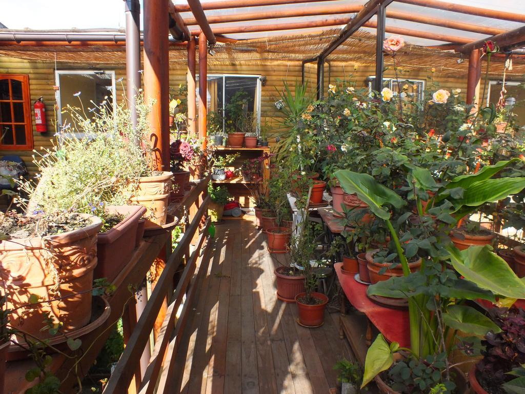 Hostal Mi Segundo Hogar Concepción Eksteriør bilde