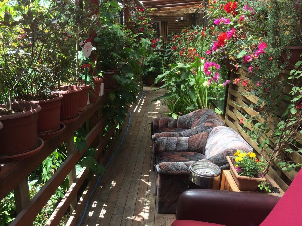 Hostal Mi Segundo Hogar Concepción Eksteriør bilde
