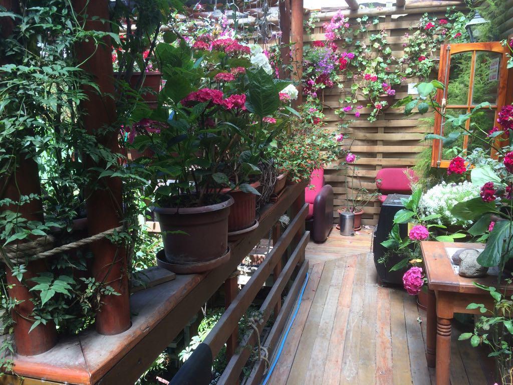 Hostal Mi Segundo Hogar Concepción Eksteriør bilde